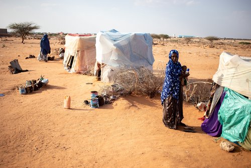 Dürre in Somalia: Notunterkünfte für geflüchtete Familien